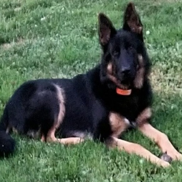 Meet your Posher, Julie - Picture 4 of 4